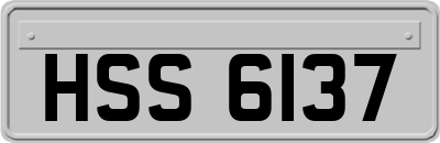 HSS6137