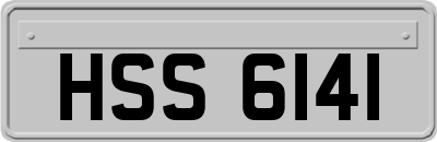 HSS6141