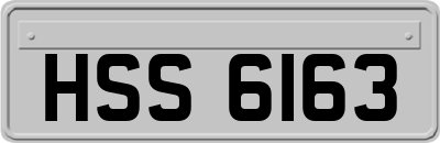 HSS6163