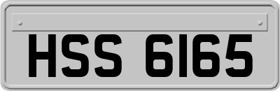 HSS6165