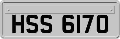 HSS6170