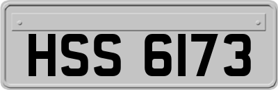 HSS6173