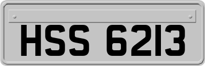 HSS6213