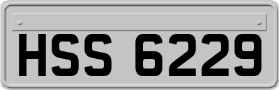 HSS6229