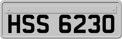 HSS6230