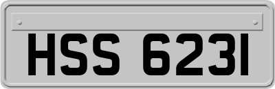 HSS6231