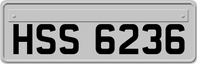 HSS6236