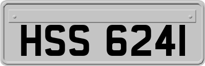 HSS6241