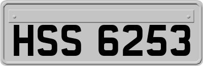 HSS6253