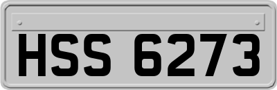 HSS6273