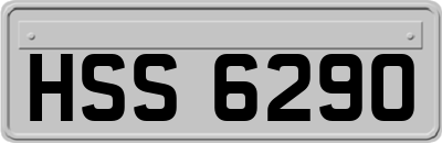 HSS6290