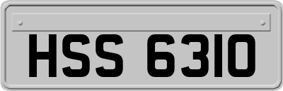 HSS6310