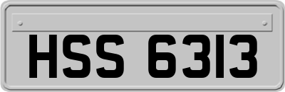 HSS6313