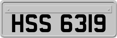 HSS6319