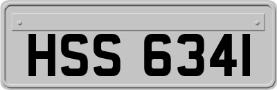 HSS6341