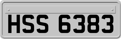 HSS6383