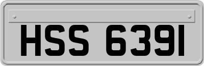 HSS6391