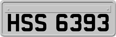 HSS6393