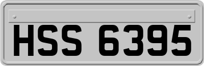 HSS6395