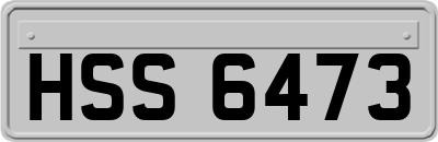 HSS6473