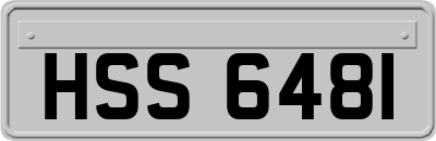 HSS6481