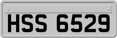 HSS6529