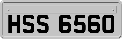 HSS6560