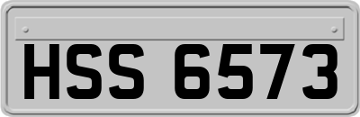 HSS6573