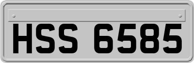 HSS6585