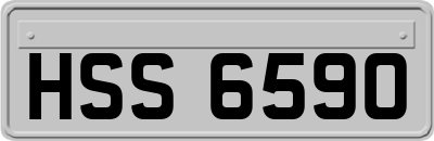 HSS6590