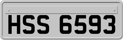 HSS6593