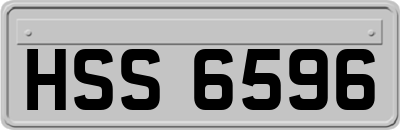 HSS6596