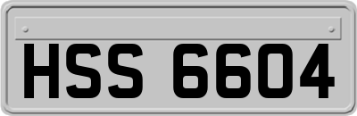 HSS6604