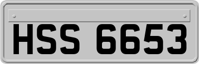 HSS6653