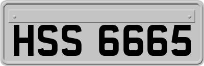 HSS6665