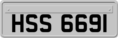 HSS6691