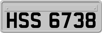 HSS6738