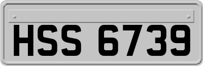 HSS6739