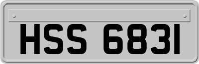 HSS6831