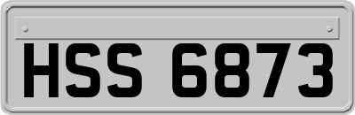 HSS6873