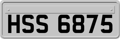 HSS6875