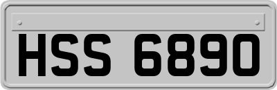 HSS6890