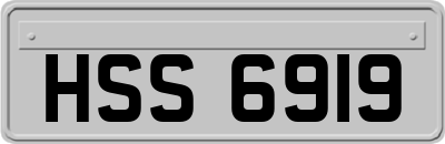 HSS6919