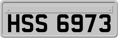 HSS6973
