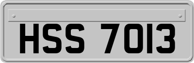 HSS7013
