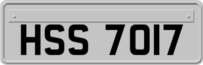 HSS7017