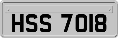 HSS7018