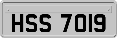 HSS7019