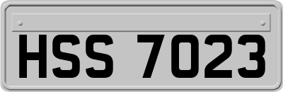 HSS7023