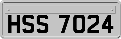 HSS7024